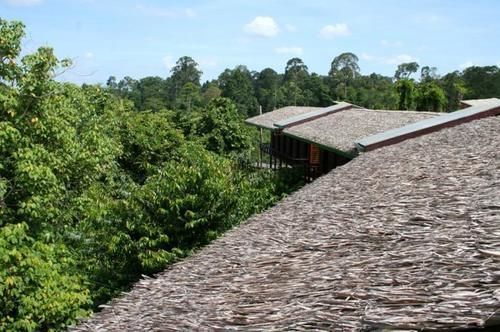 Paganakan Dii Tropical Retreat Sepilok Exterior photo